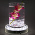 LARDUX 6 Inch Round LED Light Base Display Pedestal Stand for 3D Crystal Cube Glass Art - USB or Battery Powered