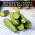 10+ Mini Me Cucumber Seeds for Planting Premium Mini Vegetable Garden Seeds High-Yield Compact Cucumbers