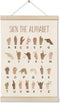 DOI-LANEE ASL Alphabet Poster Hanger Frame, Educational Posters for Toddlers 16x12 Inch,