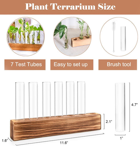7 KAXYEW Plant Terrarium with Wooden Stand, Plant Propagation Tubes, Test Tubes Glass Planter for Hydroponic Plant