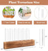 7 KAXYEW Plant Terrarium with Wooden Stand, Plant Propagation Tubes, Test Tubes Glass Planter for Hydroponic Plant