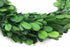 COCOMIA Preserved Garden Boxwood Round Wreath, 10"