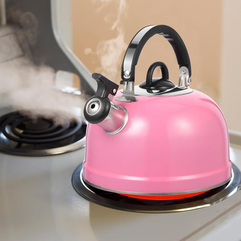MAGICLULU Whistling Kettle, Mini Tea Kettle for Stovetop, Spherical Stainless Steel Teapot with Sound Pot