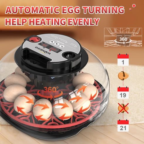 12 (RED-12) Automatic Egg Incubators for Hatching Eggs Whith Smart Temperature Control, Auto Turner, LED Candling