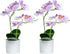 XONOR 2 Pieces Artificial Orchid Flowers, Potted Fake Orchids with Plastic Vase for Home Decor, Office, Wedding