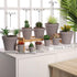 Yishang 1.9 Inch Tiny Grey Terracotta Pots, Pack of 36 Mini White Clay Pots with Drainage Holes