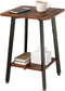 King Oasis 2-Tier Small Side Table for Living Room, End Table with Storage Shelf,