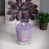 Root Candles Honeycomb Veriglass Scented Beeswax Blend Candle in English Lavender Large