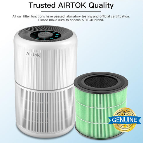Air Purifier AP0601 Replacement Filters, 5-IN-1 High-Efficiency HEPA Filter, 2 Pack, Green