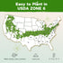6 32 30,000+ Lush&Dew Year-Round USDA Zone Heirloom Survival Seed Kit, Varieties Non-GMO Seeds for Planting Vegetables
