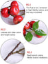 Forlaoers 4Pcs 21.6 Inch Realistic Red Artificial Berry with Stem Fake Berries Faux Fruits for Home Decor Room Table