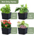 4 Packs Oliz Herb Garden Planter Indoor Kit Pots for Indoor/Outdoor Plants Windowsill Plant Pots with Drainage