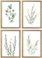 LuZhiQiang Botanical Wall Decor Sign 16x11 Inch Set of 4 Sage Green Plants