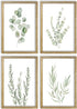 LuZhiQiang Botanical Wall Decor Sign 16x11 Inch Set of 4 Sage Green Plants