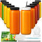 Ruckae 16oz 10 Pack Juice Bottles, Glass Bottles with Lids, Smoothie Cup
