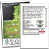 1000+ Grand Rapids TBR Lettuce Seeds (Lactuca Sativa) Non-GMO & Heirloom Seeds by Isla's Garden Seeds, Fast-Growing