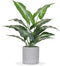 16" Small Artificial Tropical Fake Plants for Indoor Office Desk, Shelf, Bathroom Home Decor