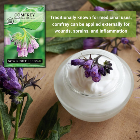 Packet (1) Sow Right Seeds - Comfrey Seeds for Planting - Non-GMO Heirloom with Instructions to Plant an Outdoor