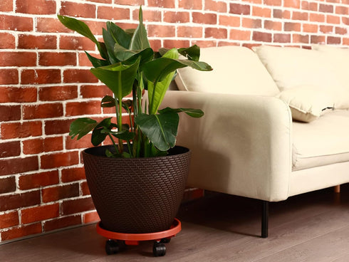 3 Packs 13" Large Plant Caddy with Wheels Rolling Plant Stands Heavy-duty Plastic Plant Roller Base Pot Movers Plant