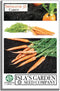 Imperator 58 Carrot Seeds (Daucus carota) 500+ Non-GMO & Heirloom Seeds, Long