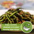 2 170 Pack Sow Right Seeds - Bulk Kentucky Wonder Pole Bean Seeds for Planting - Ounce, Seeds - Non-GMO Heirloom Jumbo