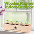 5 Indoor Bonsai Garden Starter Kit, Seeds Growing into Red Maple, Wisteria, Black Pine, Judas Tree, Acacia, Including