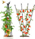 4Ft Garden Trellis for Climbing Plants Outdoor, 2Packs Trellis for Monstera Plants