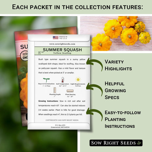 Summer Packets Sow Right Seeds - Squash Seed Collection for Planting - Individual Straightneck, Yellow Scallop