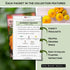 Summer Packets Sow Right Seeds - Squash Seed Collection for Planting - Individual Straightneck, Yellow Scallop