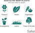 5118-6 Safer Insect Killing Soap Concentrate - Insecticidal Soap for Plants - Kills Aphids, Whiteflies, Thrips, Spider