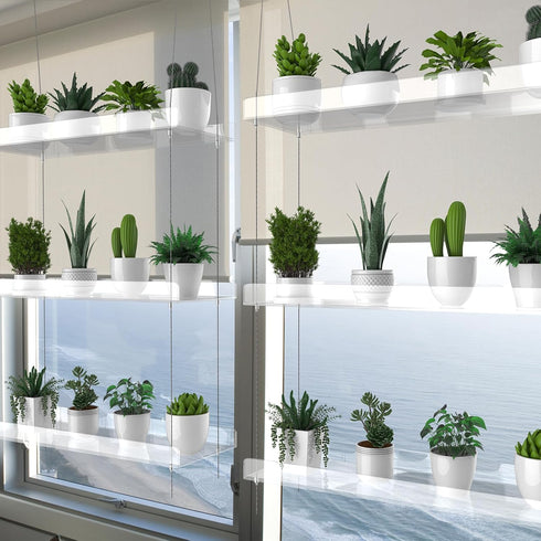 ZerzSemp 3-Tier 16 Inch Hanging Clear Plant Shelves for Windows, Acrylic Window Wall Plant Stand Shelf for Kitchen