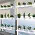 ZerzSemp 3-Tier 16 Inch Hanging Clear Plant Shelves for Windows, Acrylic Window Wall Plant Stand Shelf for Kitchen