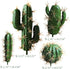 FagusHome Artificial Cactus Decor - Faux Cactus Plant Fake Succulents, 4 Pieces Unpotted Indoor Décor