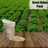 Old Potters 10 lbs Wildlife Shelled Peanuts, for Birds, Squirrels, and Wildlife. USA Grown Non-GMO, Organic Small Farm