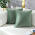 mixeoo Decorative Square Throw Pillow Covers, Set of 2, 18 x 18 Inch, Comfy Thick Velvet Couch Cushion Cases, Sage Green