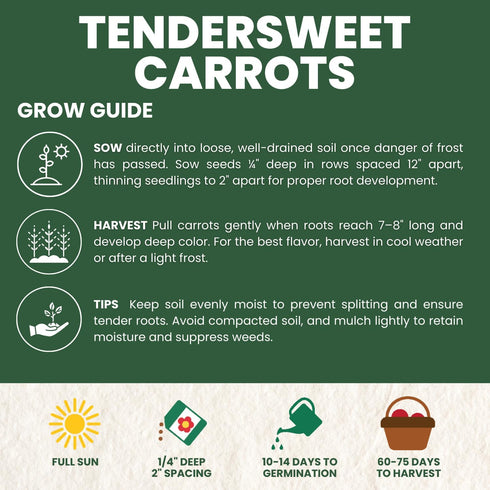 3,750 2026 5 Tendersweet Carrot Premium Seeds for Planting Smooth, Sweet, Coreless Roots for the Season Gram Pouch