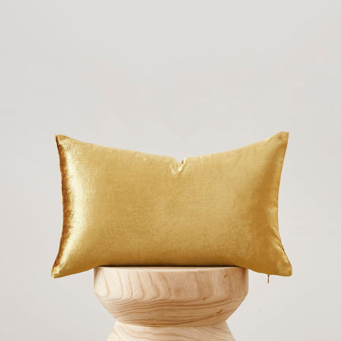 GIGIZAZA Gold Velvet Decorative Throw Pillow Covers - 2 Pack Soft Cushion Cover 12x20 for Sofa Bed