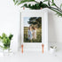 3 Pack 6 Inch Iron Cookbook Stand, Plate Holder Display Stand for Pictures, Photo Frames, Books