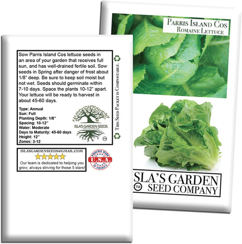 1000+ Parris Island Cos Romaine Lettuce Seeds (Lactuca sativa) Heirloom Non-GMO Seeds by Islas Garden Seeds, Crisp