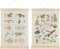 Qvapt Wild Animal Alphabet Poster,Abc Posters for Classroom Wall,Kids Alphabet Wall Decor Animal
