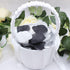 900PCS Silver Black White Artificial Flowers, Silk Rose Petals, Flower Girl Scatter Petals for Wedding