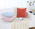 Jeneoo Set of 2 Soft Velvet Throw Pillow Covers, Decorative Cushion Cases for Sofa Couch (18 x 18 Inches, Sage Green)