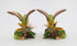 Fine Porcelain Hummingbird Candle Holder Pair with Apple Cherry Blossom Flowers, 3-5/8" H