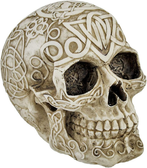Celtic Owl Knotwork Human Skull Statue Pagan Private Label
