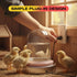 5 Waterer,13 Inches H&G lifestyles Chicken Water Heater, Heated Chicken Waterer,Poultry Water Heater for Winter