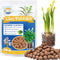 ZeeDix 10LBS Lightweight Expanded Clay Pebbles - pH-Balanced Hydroponic Growing Media for