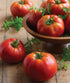 35 Burpee 'Big Daddy' Hybrid , Red Slicing Tomato , Non-GMO Seeds