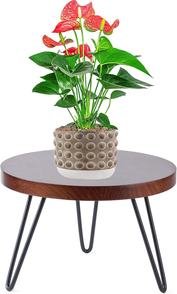 ESEHGS Plant Stand Indoor Outdoor, Wooden plant Stool, Mid Century Plant Stand for
