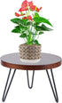 ESEHGS Plant Stand Indoor Outdoor, Wooden plant Stool, Mid Century Plant Stand for