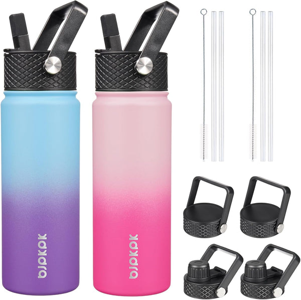 BJPKPK 2 Pack Insulated Water Bottles, 22oz Stainless Steel with Straw Lids, Leak Proof BPA Free for Travel